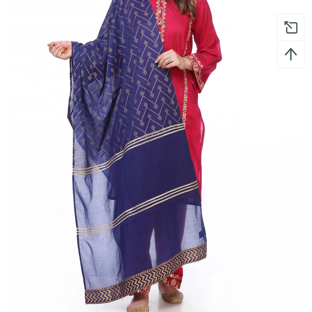 BNWT Pakistani Rang Ja gota work dupatta
